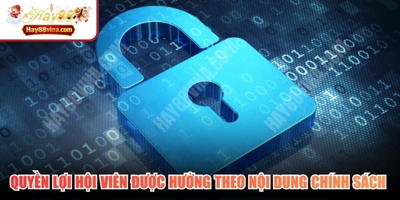 Quyền lợi hội viên được hưởng theo nội dung của chính sách bảo mật HAY88