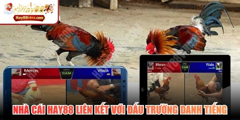 Nhà cái HAY88 đang liên kết với những đấu trường danh tiếng