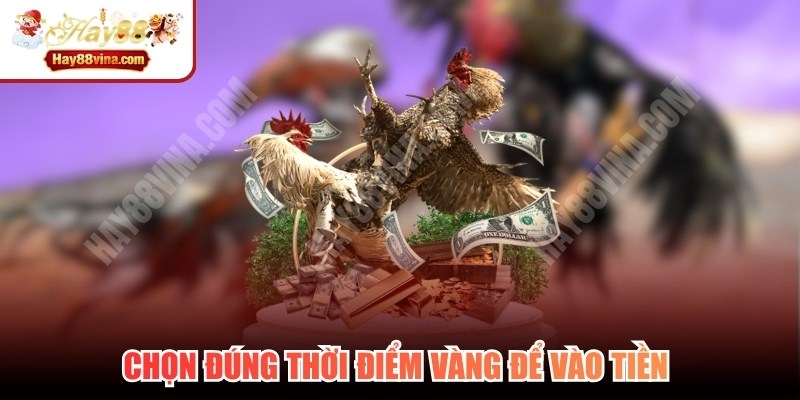 Chọn đúng thời điểm vàng để vào tiền thay vì đặt theo cảm tính