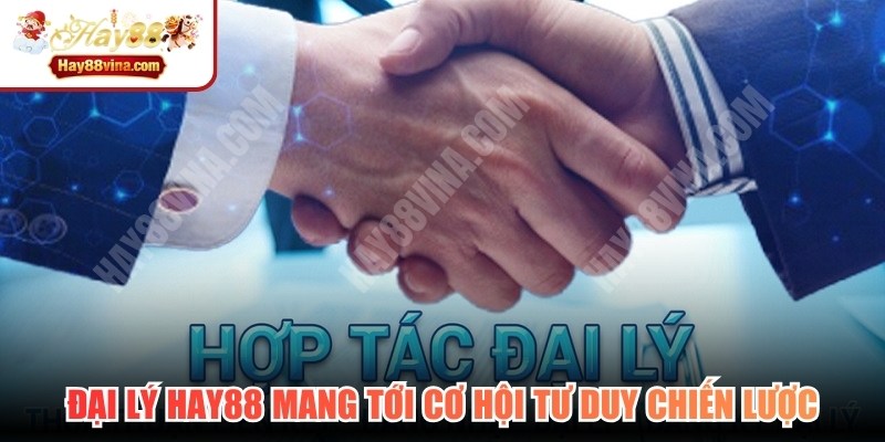Đại lý HAY88 mang tới cơ hội phát huy tối đa tư duy chiến lược