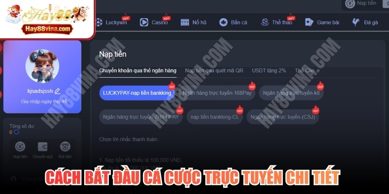 Cách bắt đầu cá cược trực tuyến chi tiết cho người mới 