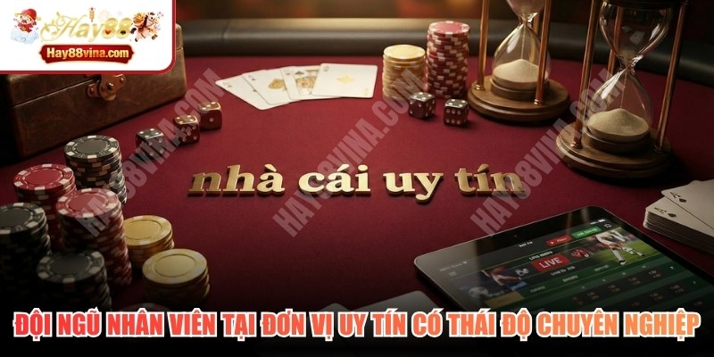 Đội ngũ nhân viên tại các đơn vị uy tín thường có thái độ chuyên nghiệp